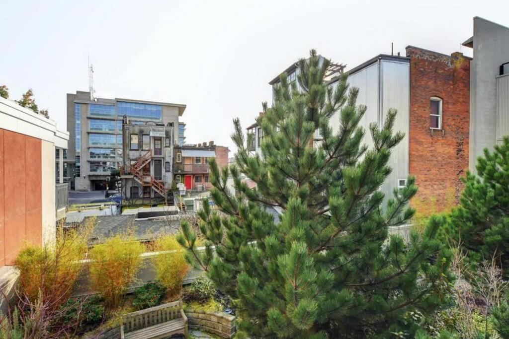 Clean 3Rd Floor Executive 1 Bedroom Apt In Old Town China Town Victoria Esterno foto